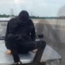 Jackzebra Announces Hunched Jack Mixtape, Teams Up With James Ferraro and Glasear for New Song: Watch the Video